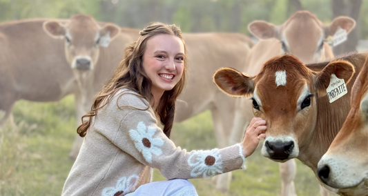 Bella leaning down and petting mini Jersey cattle