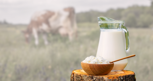 Milk and cottage cheese sitting on a tree stump in a field with cows