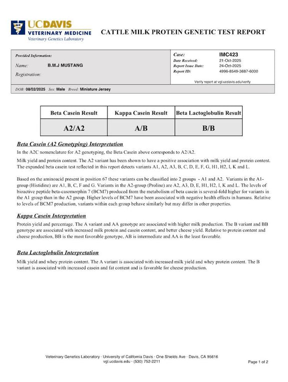 Cattle milk protein genetic test report from UC Davis Veterinary Medicine