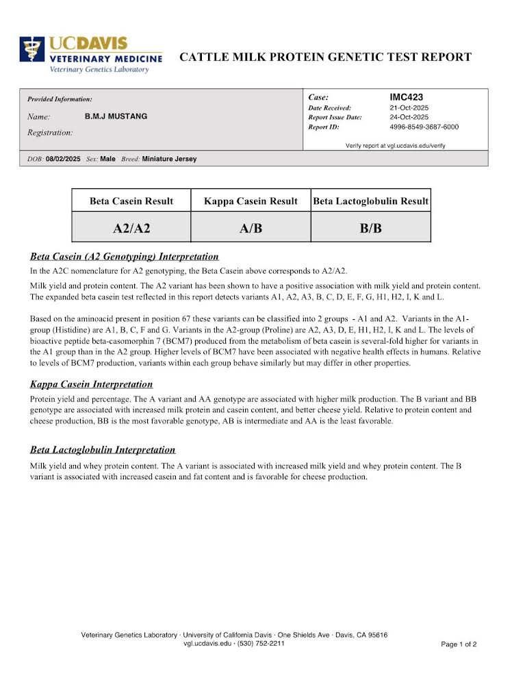 Cattle milk protein genetic test report from UC Davis Veterinary Medicine