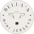 Bella's Mini Jerseys