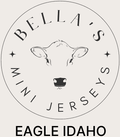 Bella's Mini Jerseys